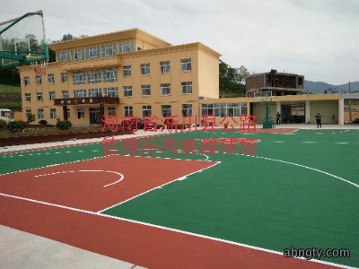 河南省淅川县公路管理所丙烯酸球场
