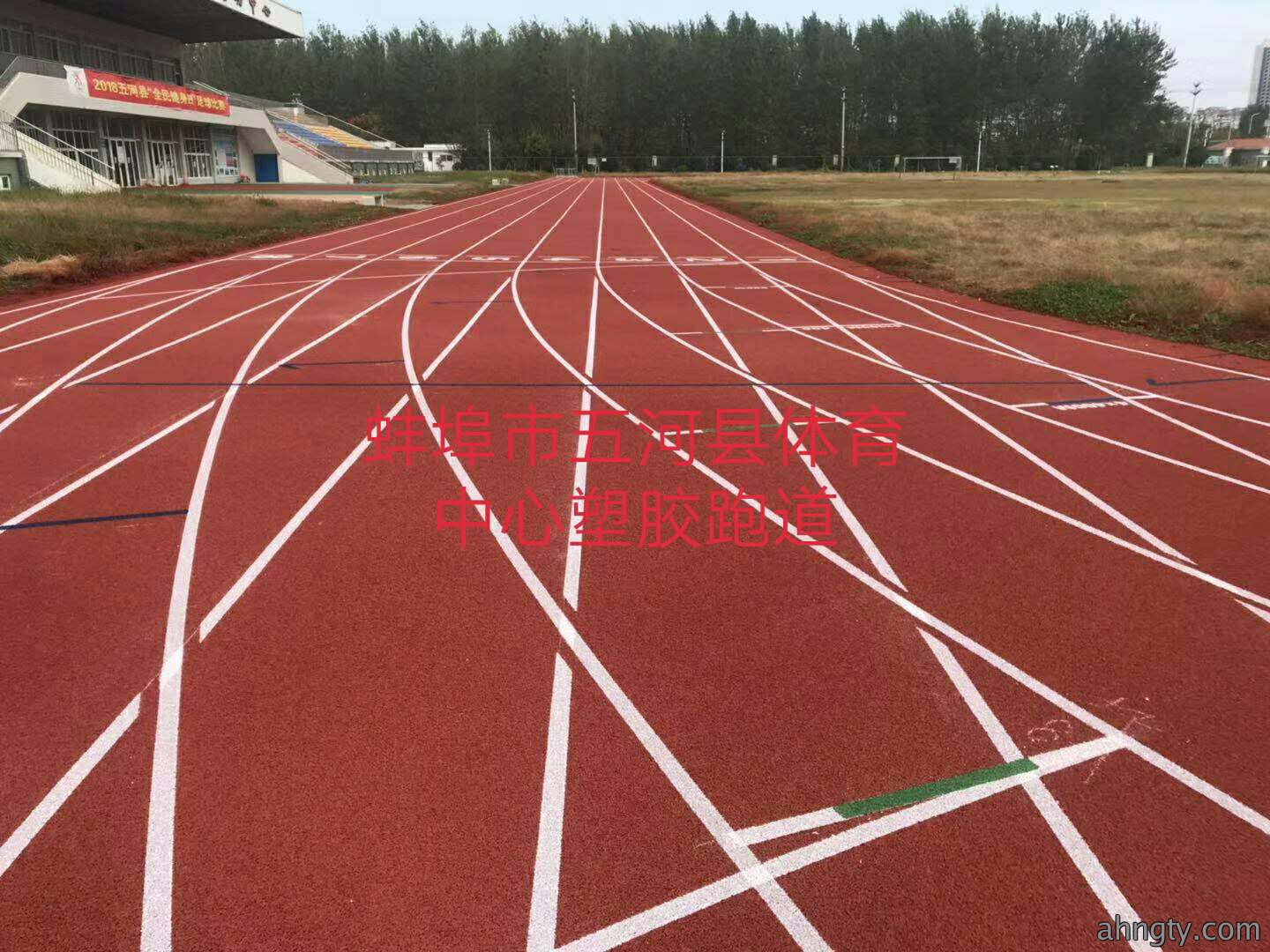 蚌埠市五河县体育中心塑胶跑道